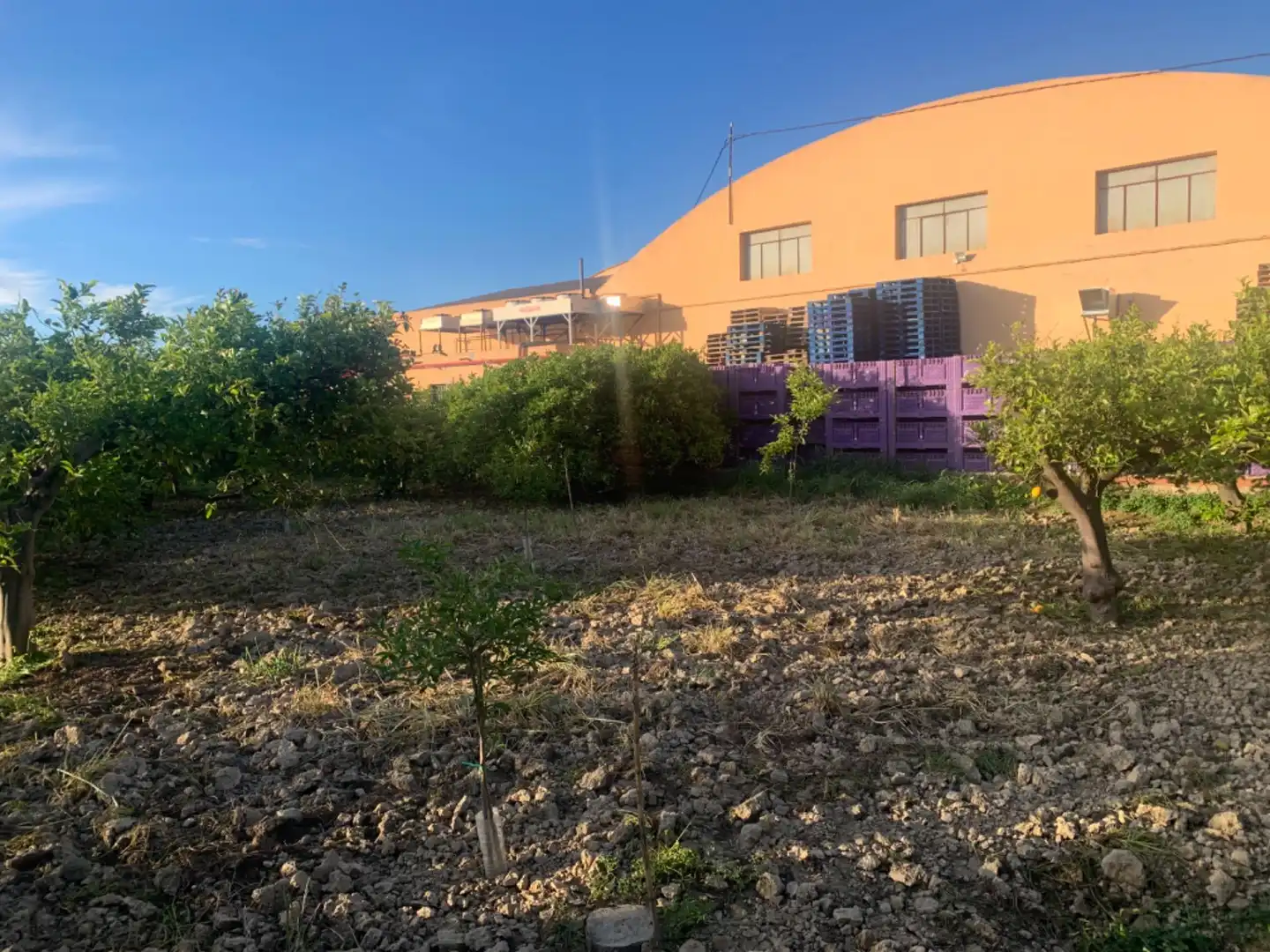 Terrenys i solars en venda a Pedanías Este, imagen 13