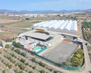 Exterior view of Country house for sale in Vélez-Málaga  with Private garden and Swimming Pool