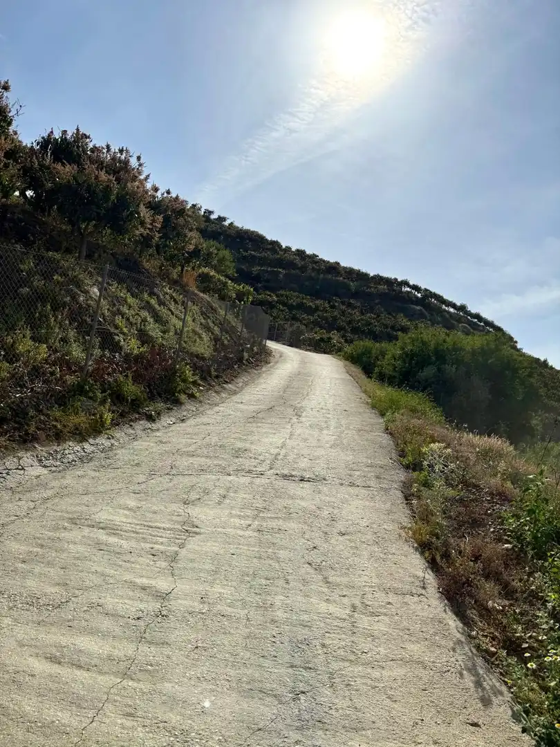 Terreni e lotti in vendita a Parcela PARCELA 309, POLIGONO 3, DEL PARAJE BARRANCO PÉREZ, imagen 11