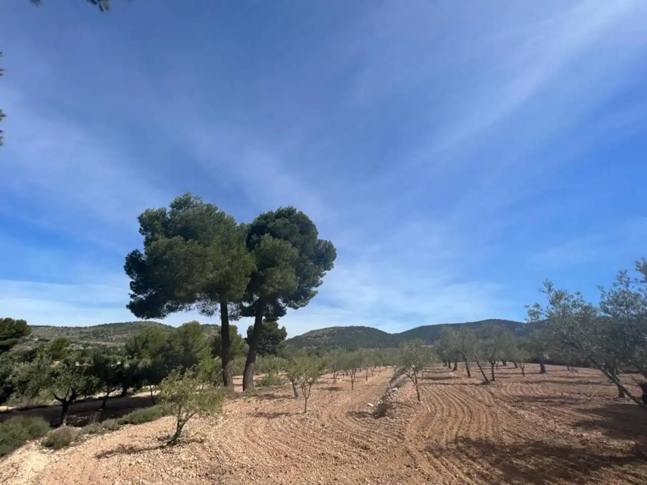 Chalet con jardín en venta en Calle Poligono, imagen 122