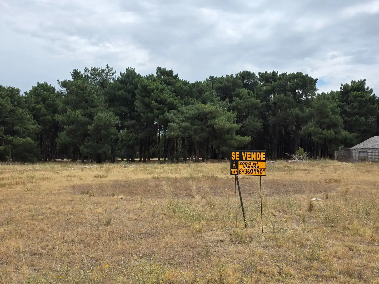 Residential for sale in Cantalejo