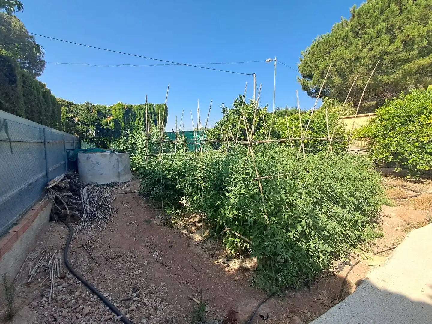 House with pool for sale in Camino DE LOS JABONEROS, imagen 29