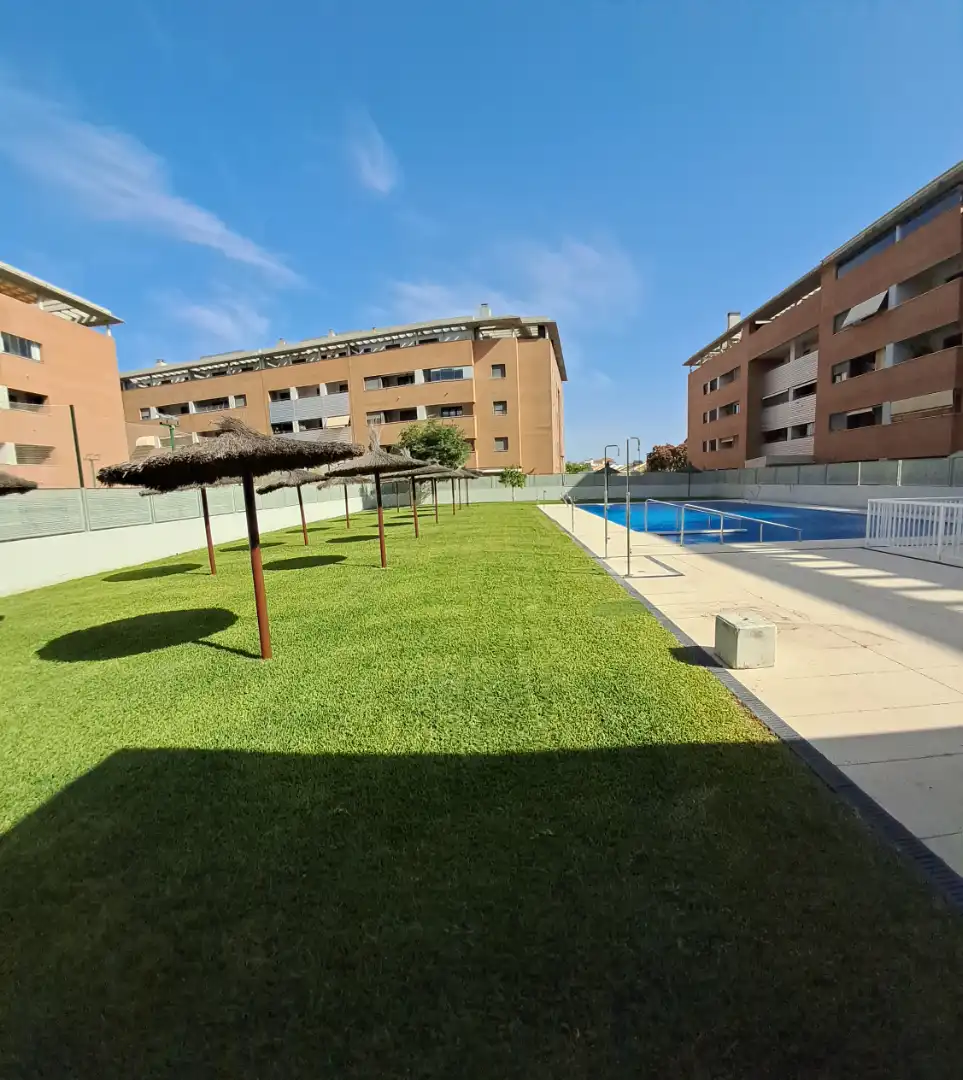 Swimming pool of Flat for rent in Mairena del Aljarafe  with Air Conditioner and Community pool