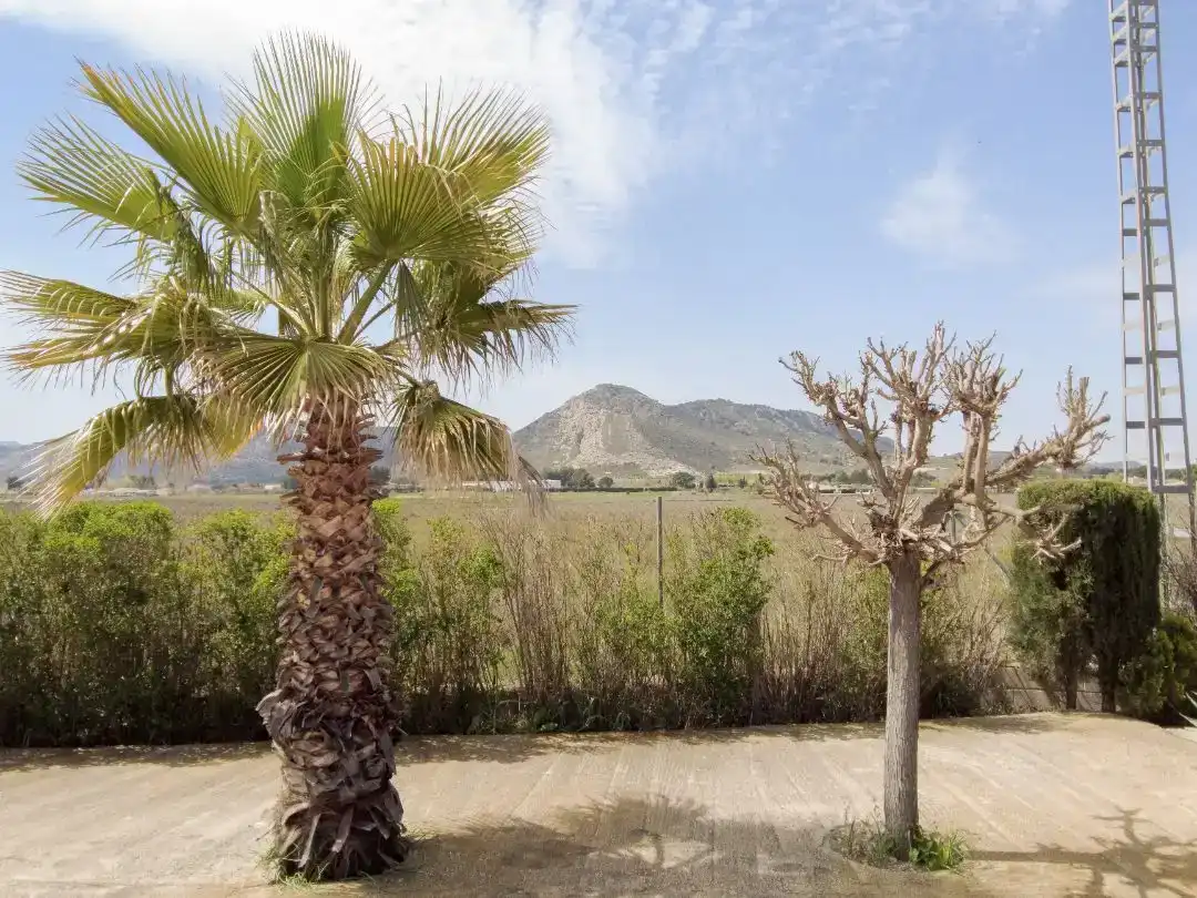Finca rústica en venda en Villena amb Piscina