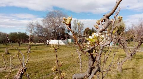 Foto 5 de Casa o chalet en venta en Pastriz, Zaragoza