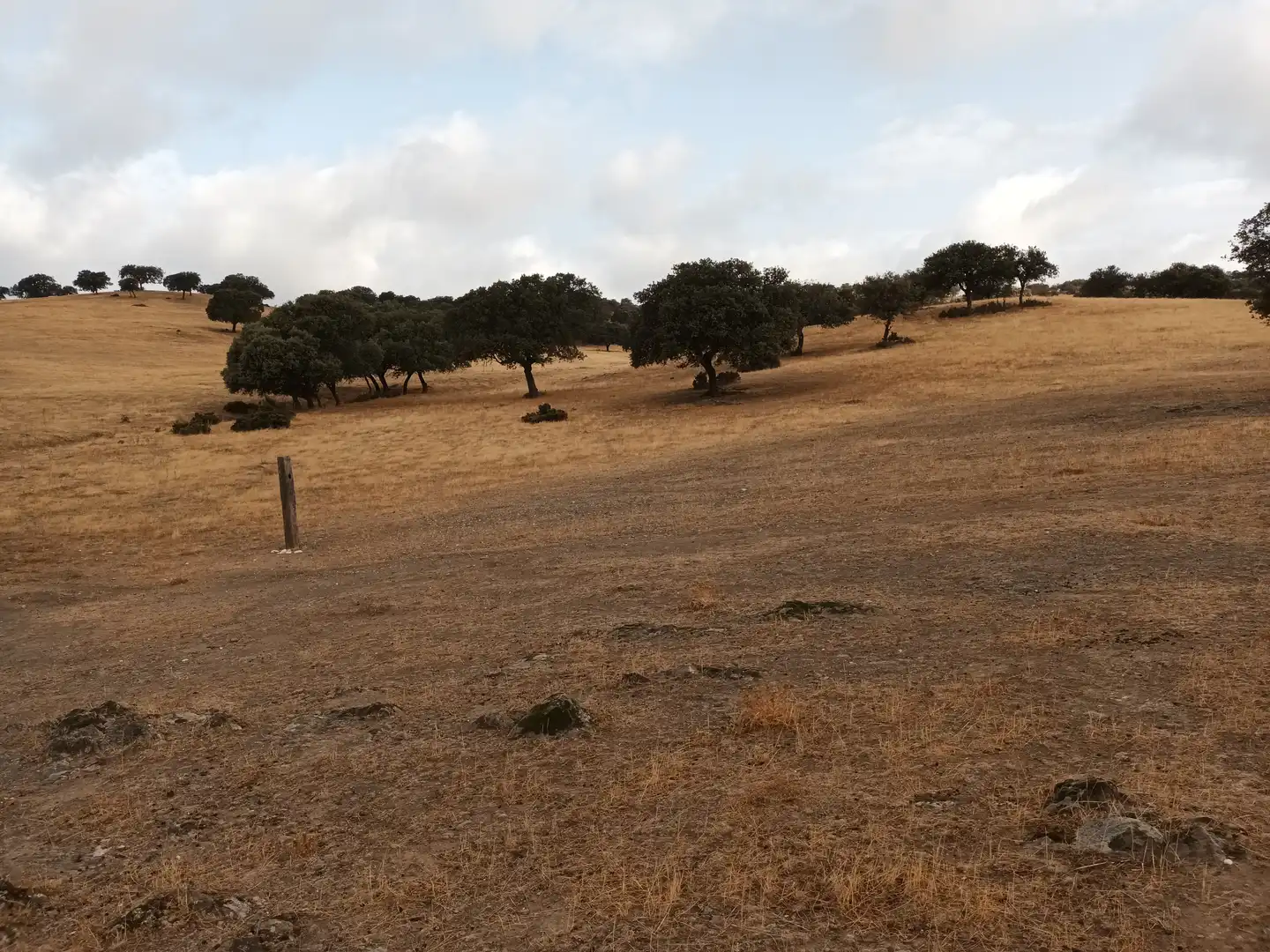 Land for sale in Vilches