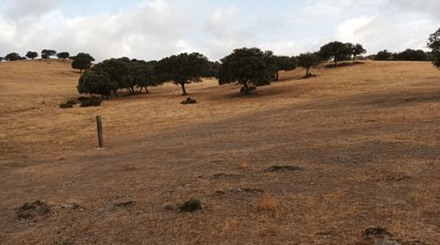 Foto 2 von Grundstücke zum Verkauf in Vilches, Jaén