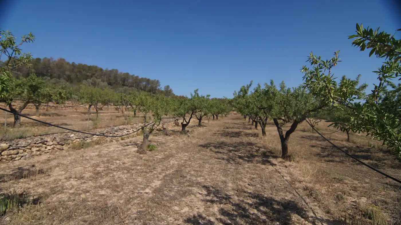 Finca rústica en venda a Miravet
