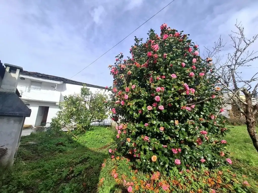 Jardín de Casa o chalet en venta en Viveiro con Jardín privado, Terraza y Trastero