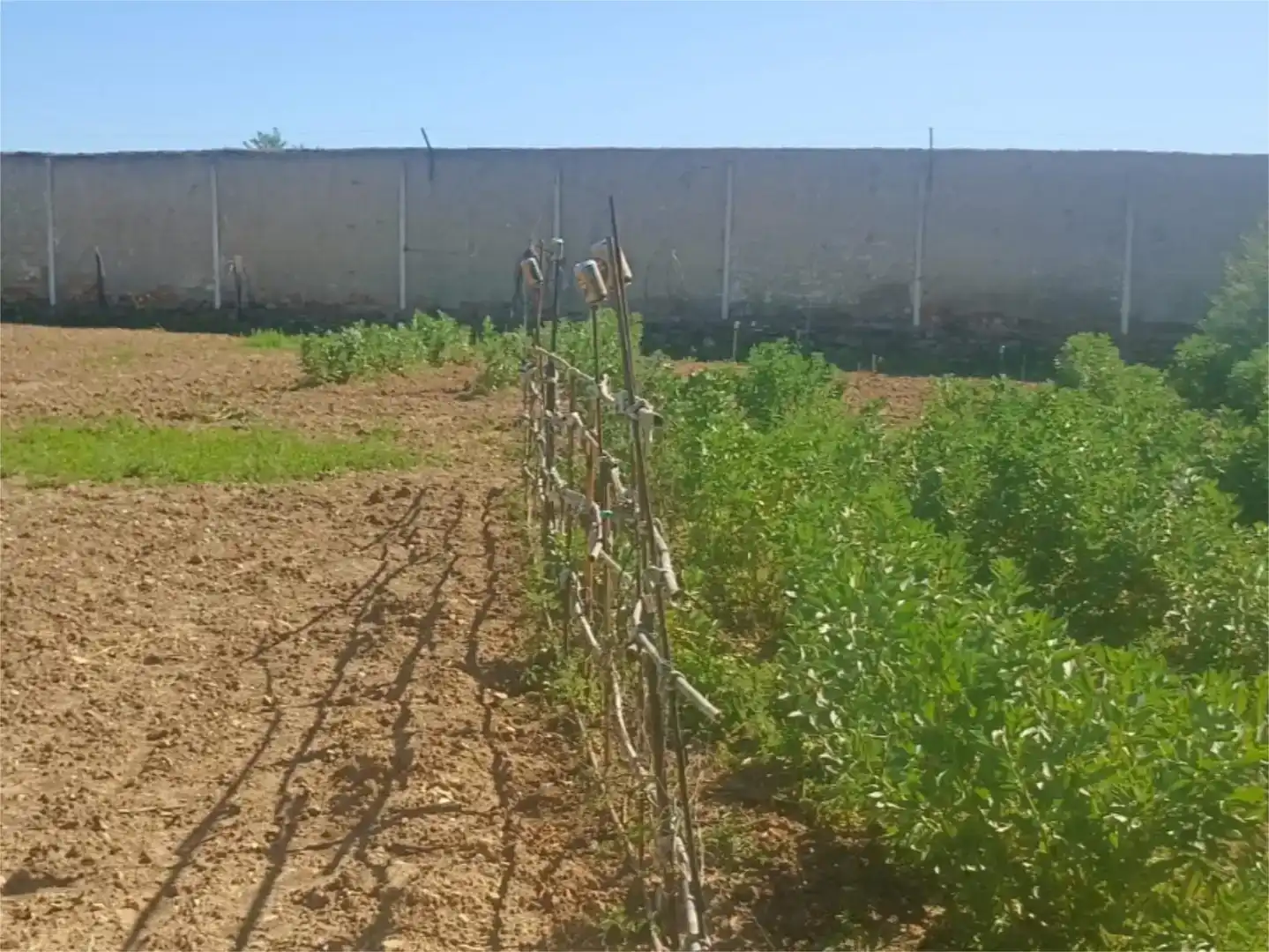 Piso en venta en Linares con Aire acondicionado