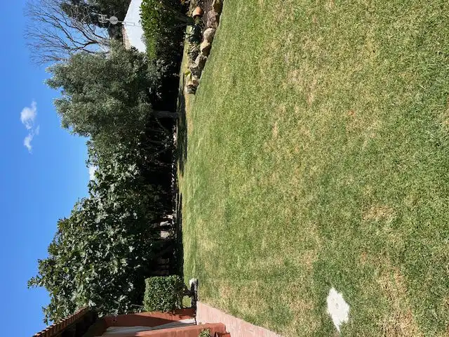Jardí de Apartament de lloguer en Vejer de la Frontera amb Terrassa