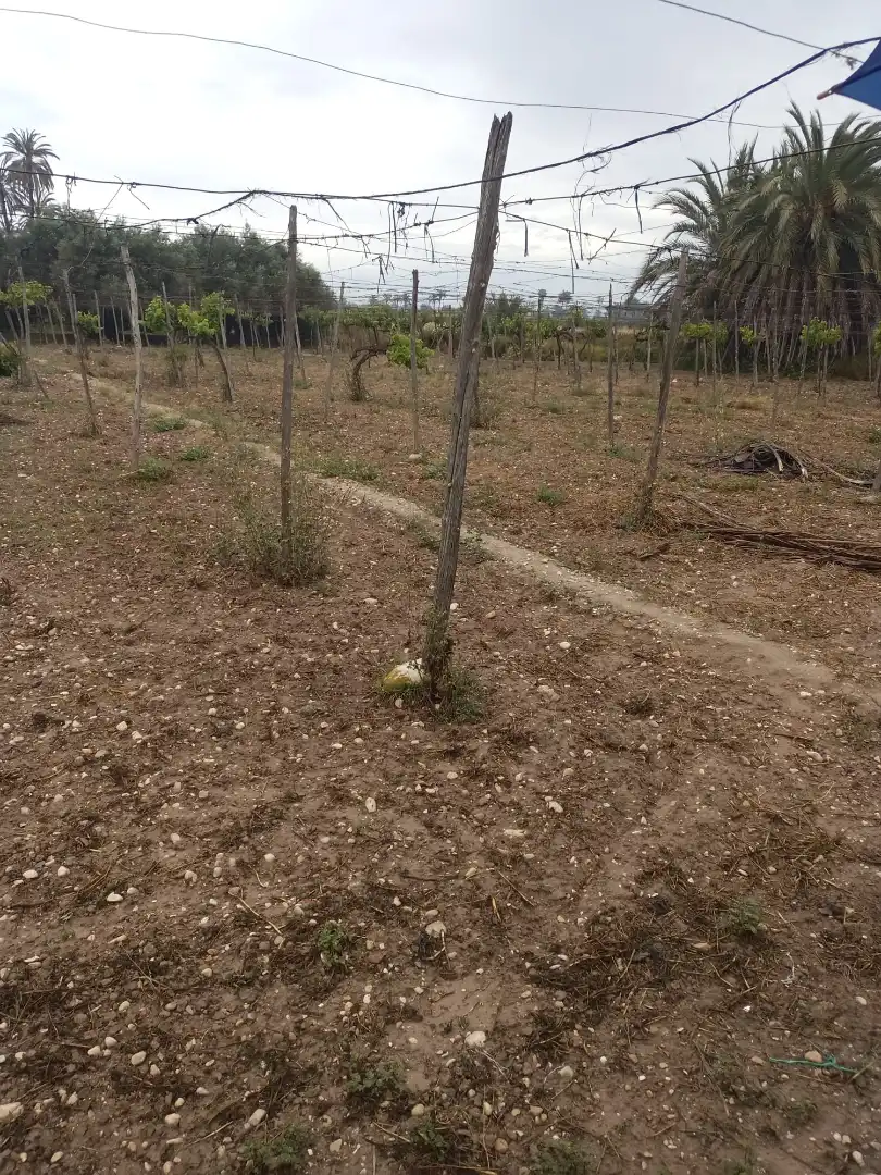 Terrain rustique à vendre à La Foia - Daimés - Asprella, imagen 12
