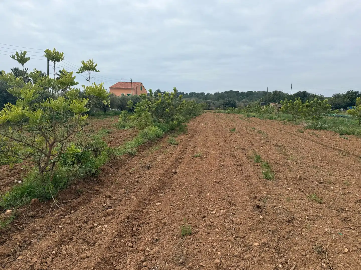Finca rústica en venda a Altafulla