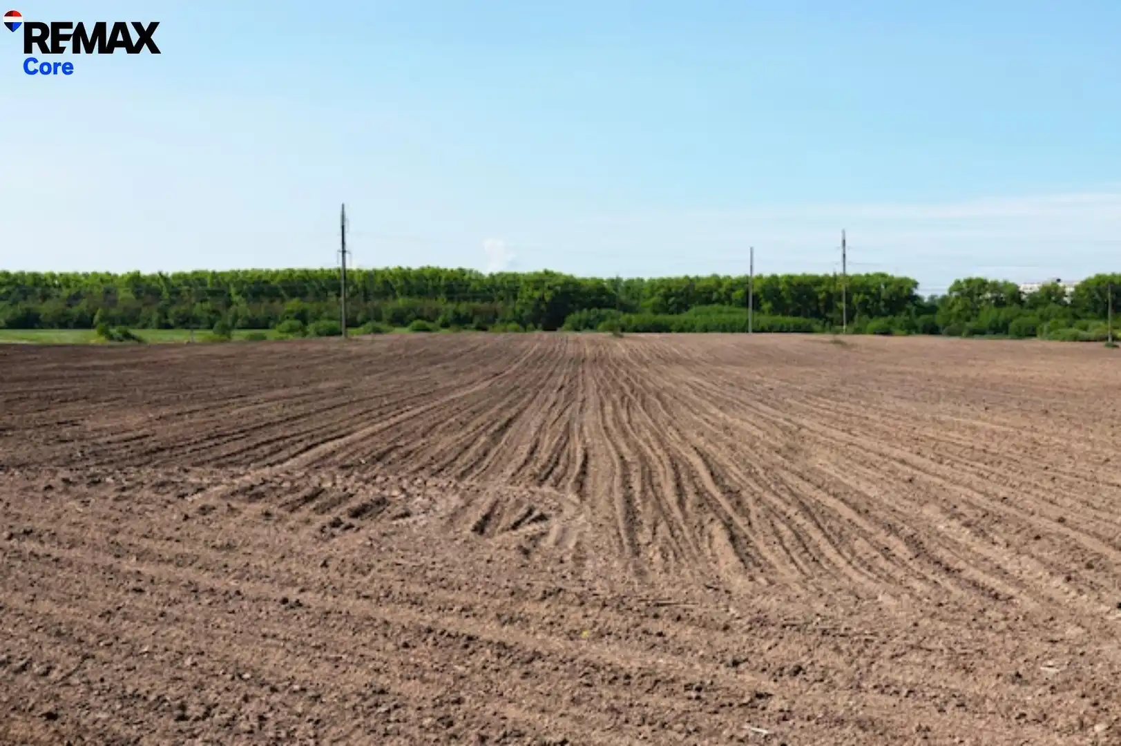 Terreni e lotti in vendita a Oeste