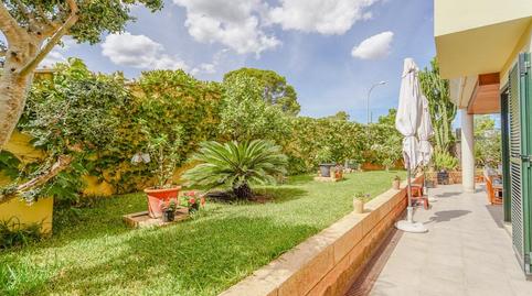 Photo 2 of Planta baja for sale in Sa Teulera, Illes Balears