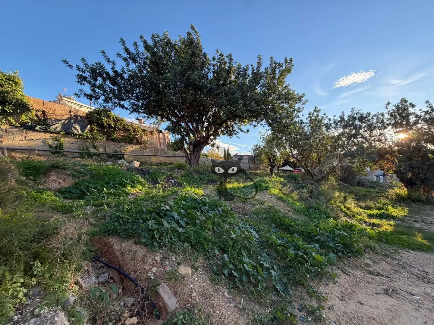 Rural land for sale in Calicanto - Cumbres de Calicanto - Santo Domingo, imagen 5