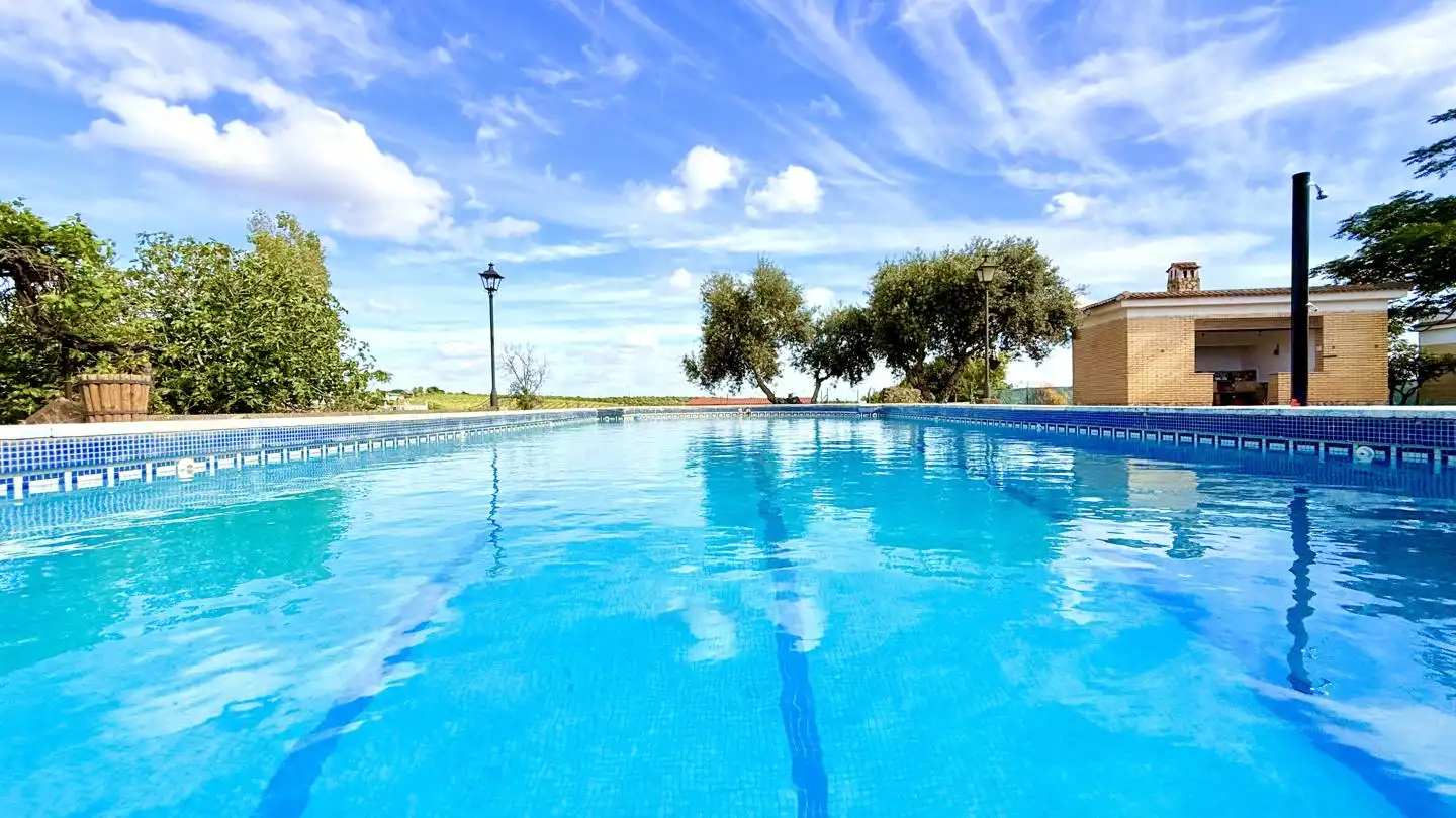 Piscina de Casa o chalet en venta en Carmona