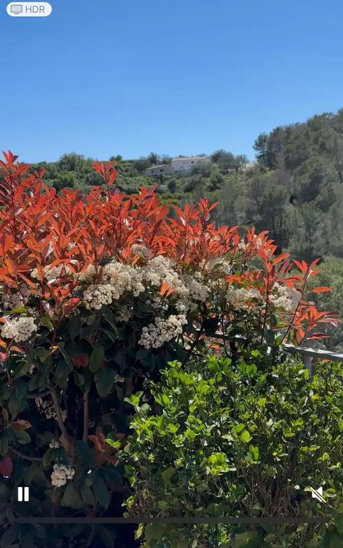 Jardí de Casa o xalet en venda en Ròtova amb Aire condicionat, Calefacció i Jardí privat