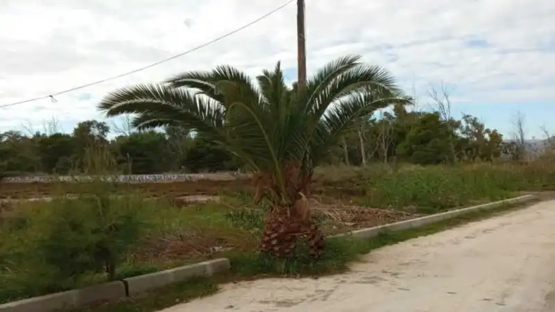 Residential land for sale in Carrer Joaquim Rodrigo