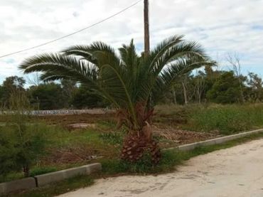 Residential land for sale in Carrer Joaquim Rodrigo