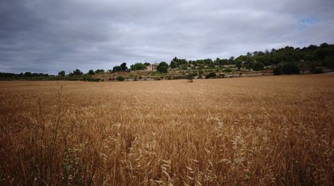 Foto 4 de Terreno en venta en Montuïri, Illes Balears