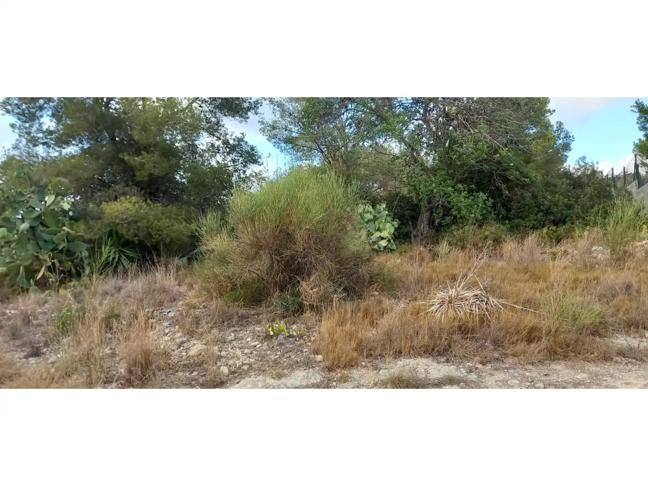 Rural land for sale in Poligono 41, imagen 6