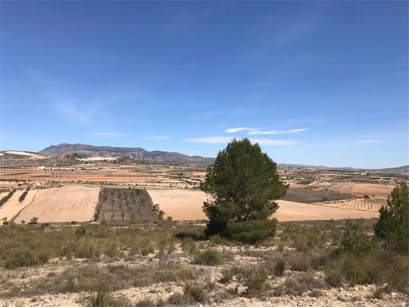 House for sale in Aldea Rodriguillo 95, imagen 17