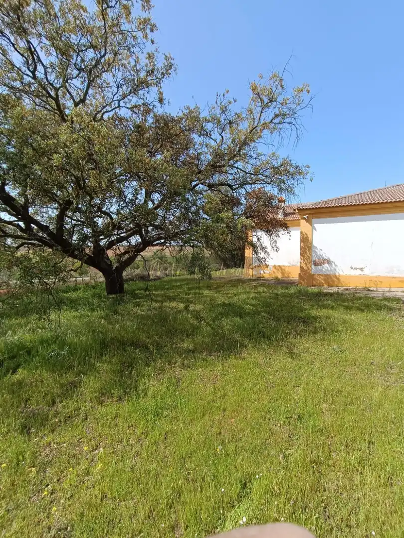 Finca rústica en venta en Almendralejo con Terraza, Trastero y Piscina