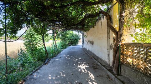 Casa Rústica con Terreno en Pedro Ruiz Santa Fe, imatge 4