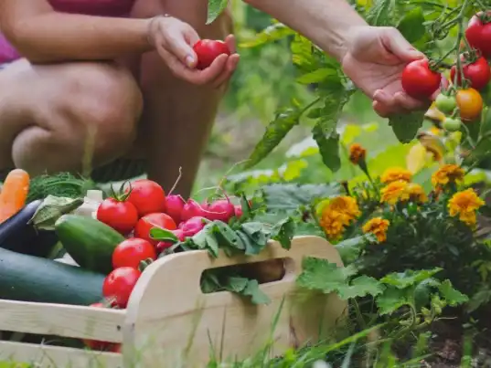 Garten von Grundstücke zur Miete in Tarragona