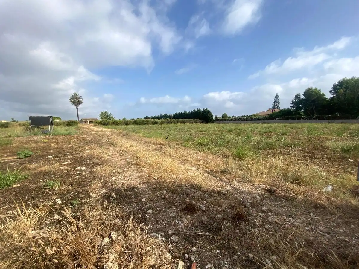 Lands and plots for sale in Els Poblets, imagen 3