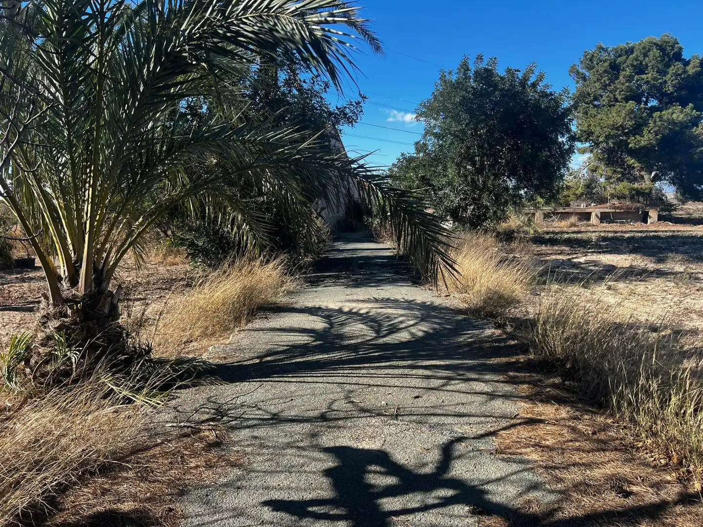 Casa o xalet en venda a Perleta - Maitino