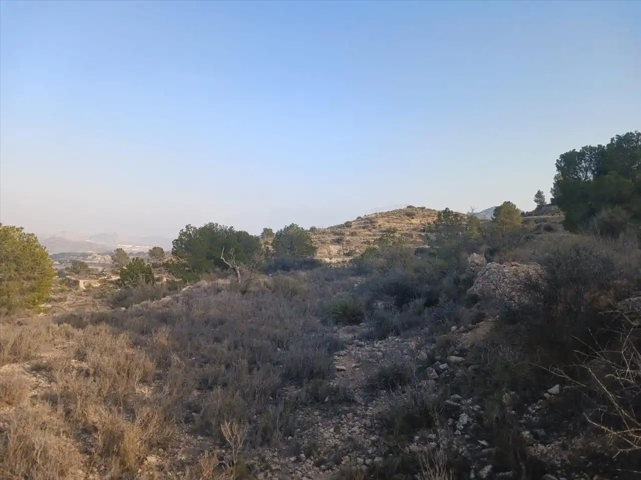 Residential land for sale in Proc. Simplificado, imagen 12