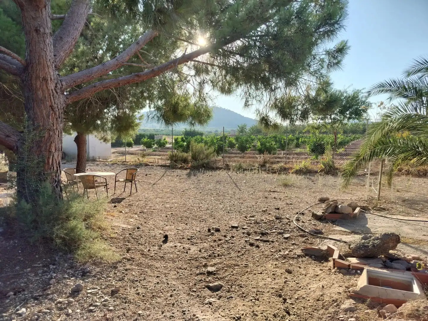 Xalet amb piscina en venda a Casinos, imagen 11