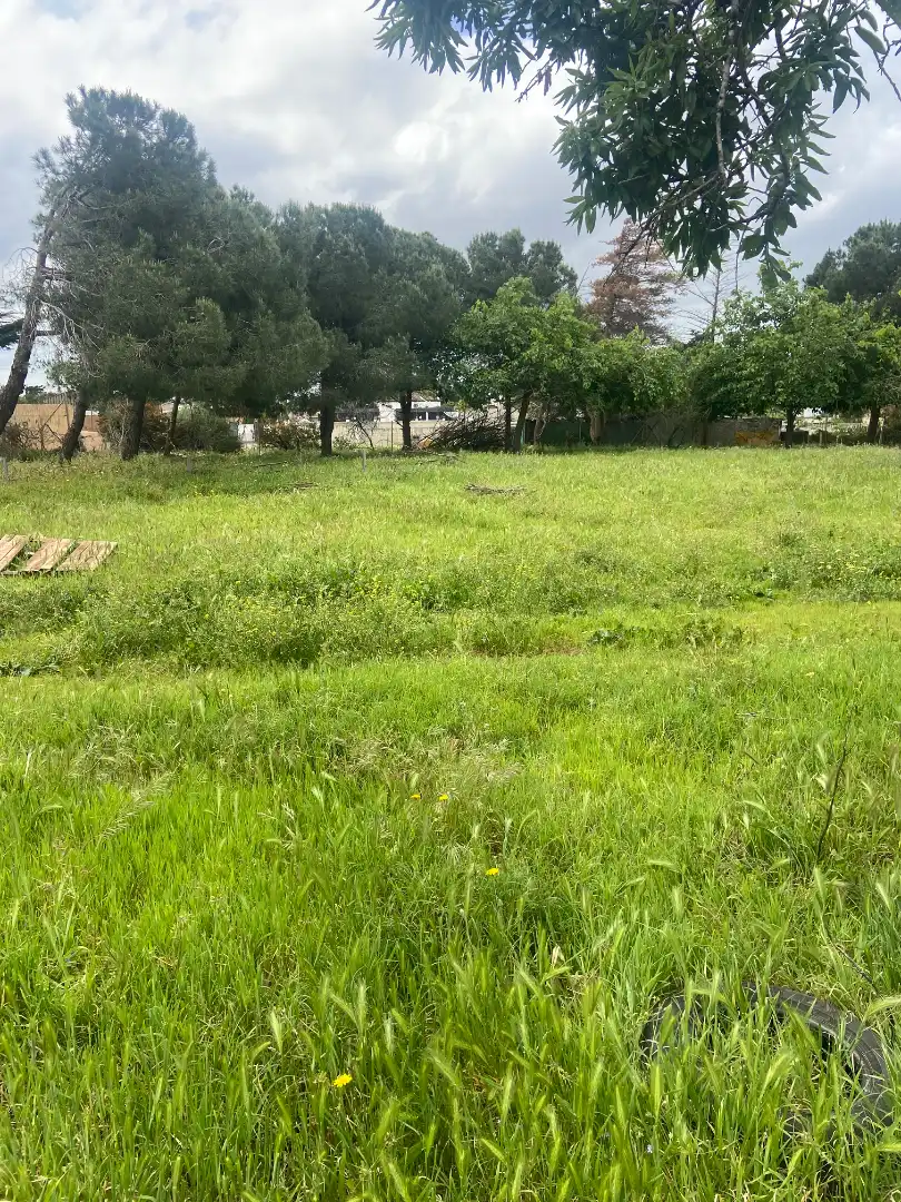 Terrenys i solars en venda a Los Franceses – La Vega, imagen 11