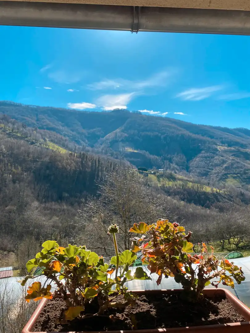 Finca rústica en venda a Sallobente-Ermuaran Bailara, Elgoibar