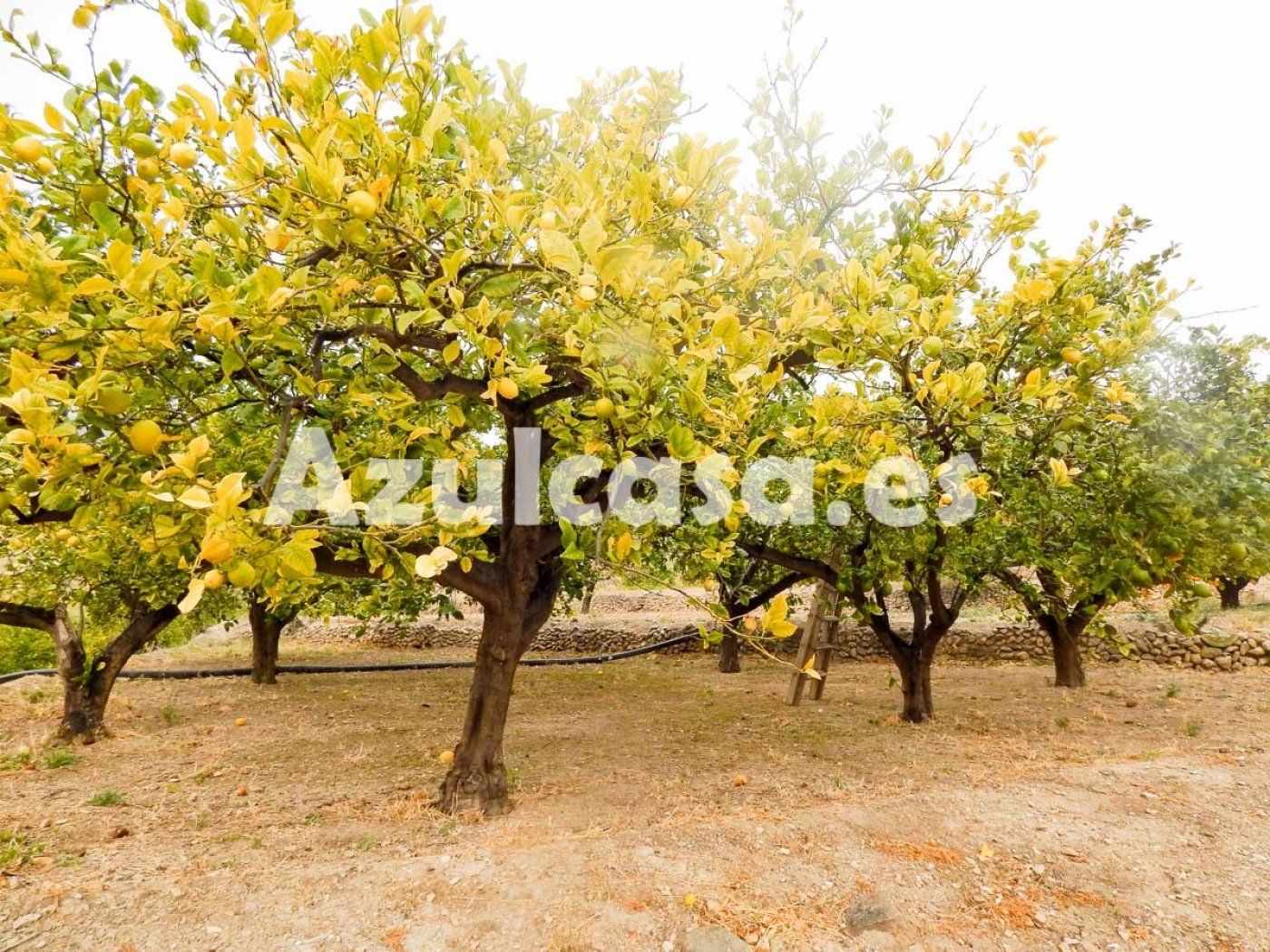 Finca rústica en venda a Jijona / Xixona