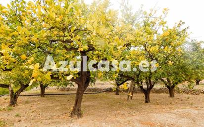 Finca rústica en venda a Jijona / Xixona