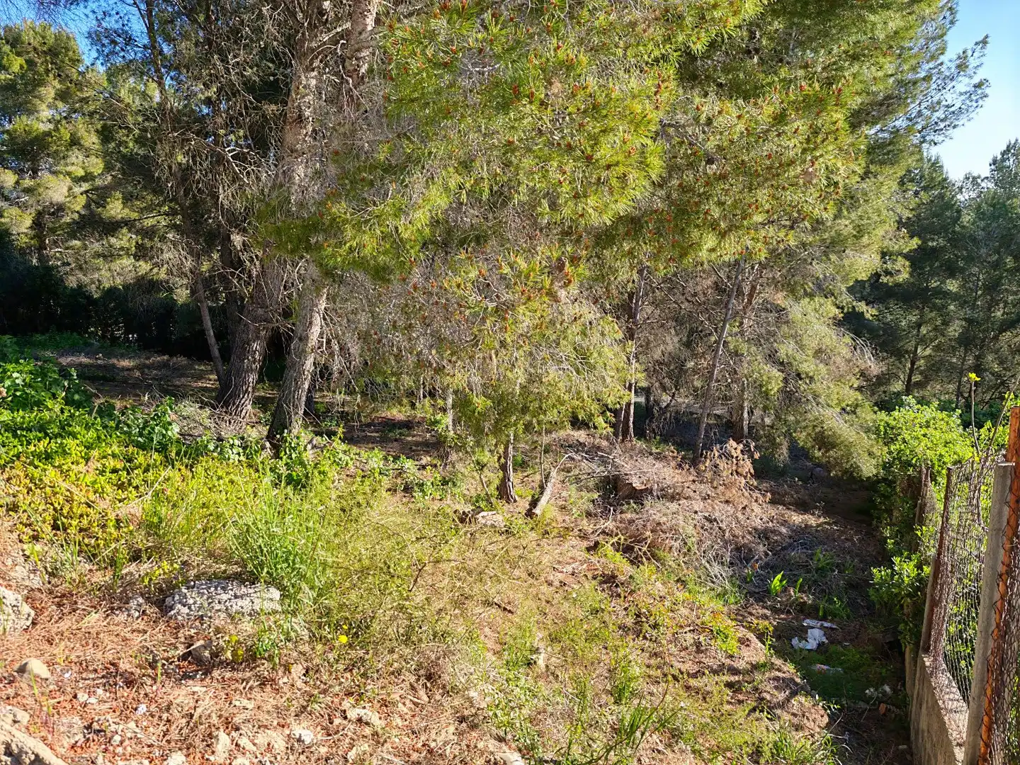 Residential land for sale in Gaia-Ur Can Gordei, imagen 4