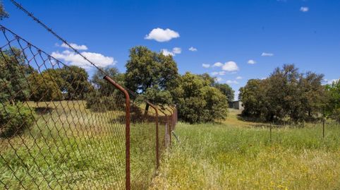 Foto 5 de Finca rústica en venda a La Dehesa - El Pinar, Navalcarnero