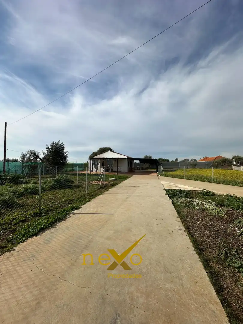 Chalet con piscina en venta en Carmona, imagen 3