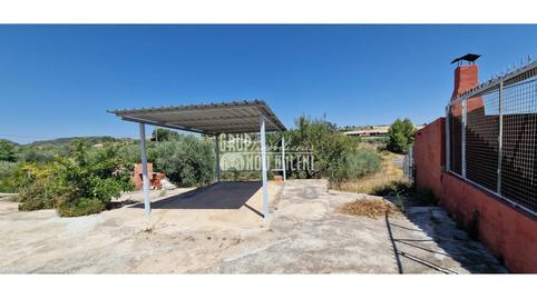 Foto 2 de Finca rústica en venda a Carretera Liria Tabernes de Valldigna, Turís, Valencia