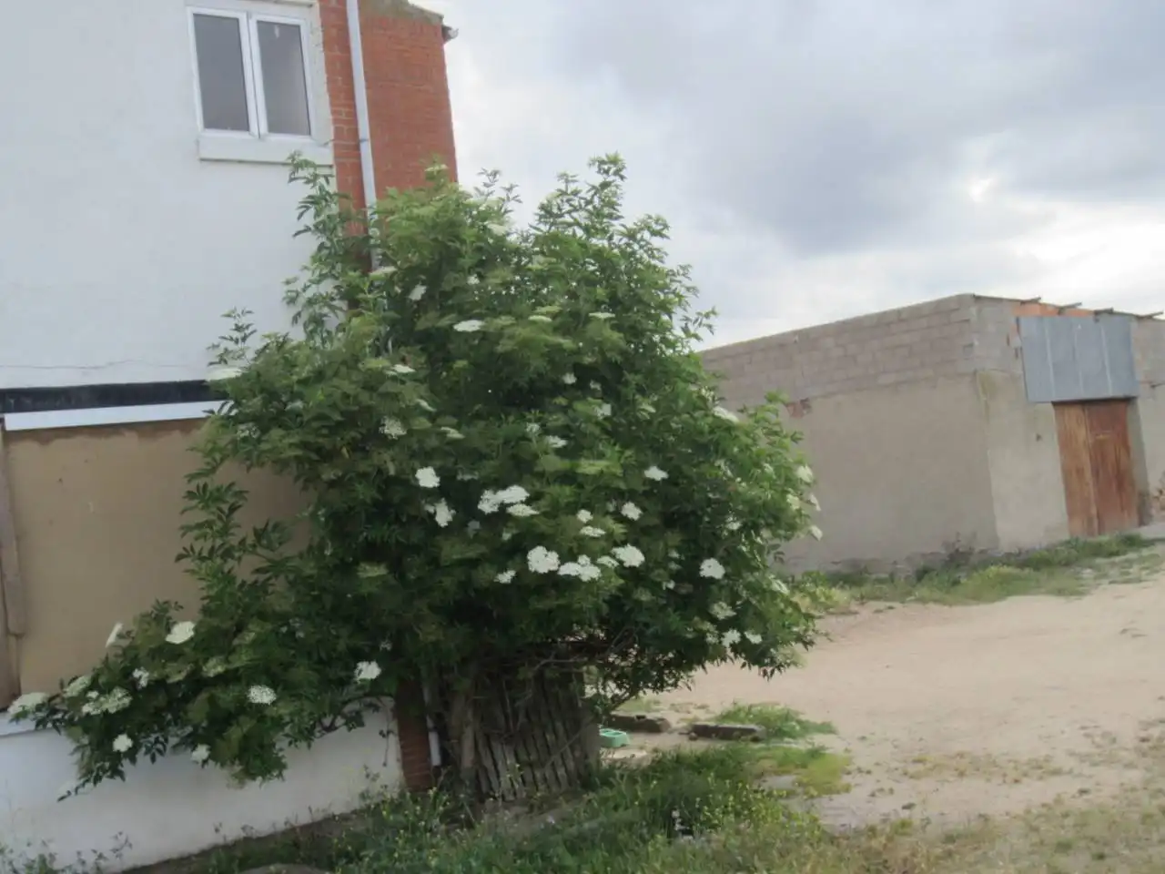 Hotel zum Verkauf in Ciudad Rodrigo, imagen 6