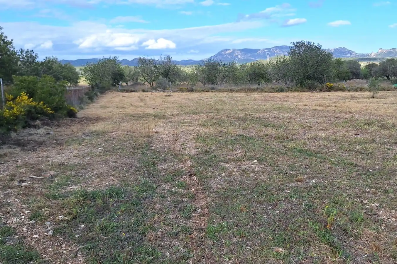 Terrain rustique à vendre à Carrer Andreu Llambrich 48, imagen 21