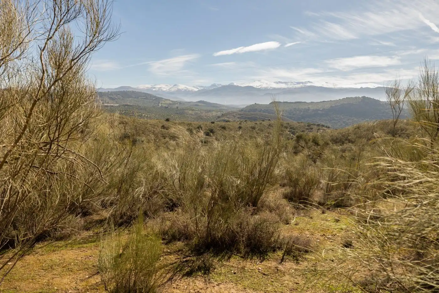 Country house for sale in Albaicín, imagen 30