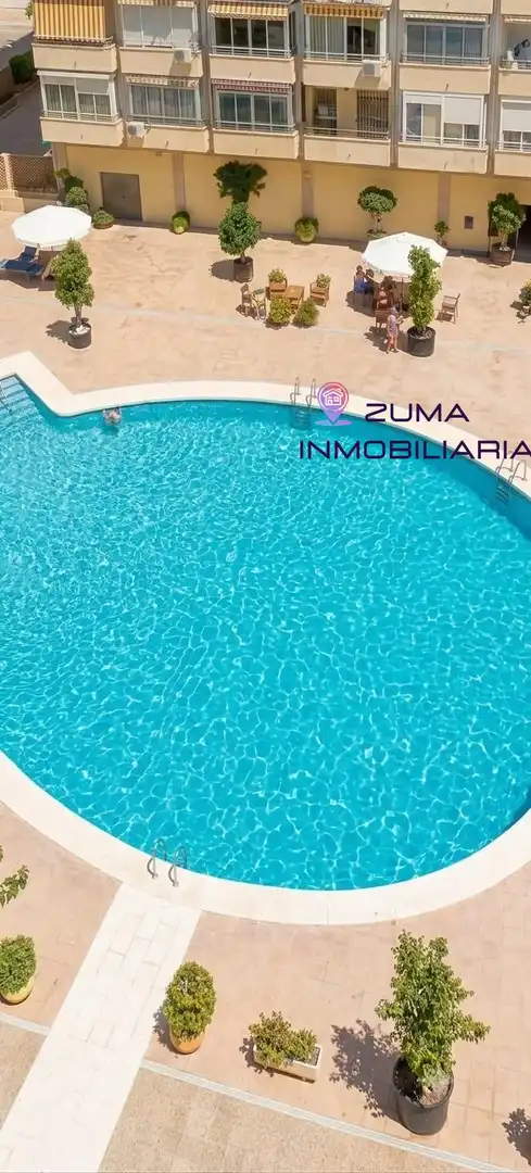 Monolocale con piscina in affitto a Centro