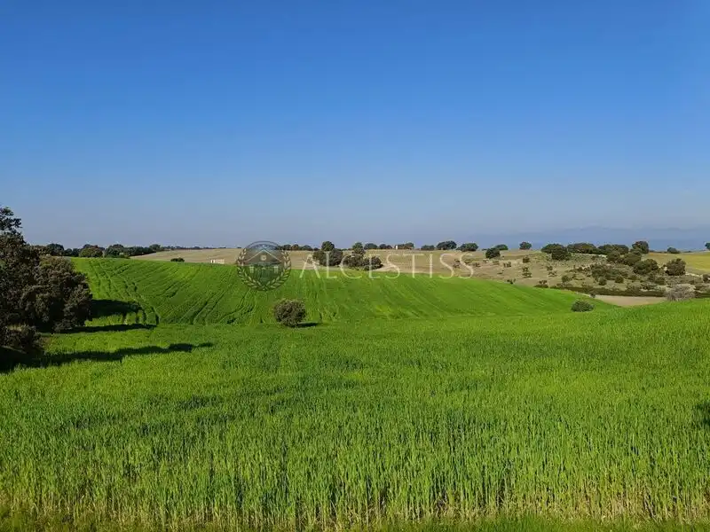Terreni e lotti in vendita a Méntrida, imagen 15