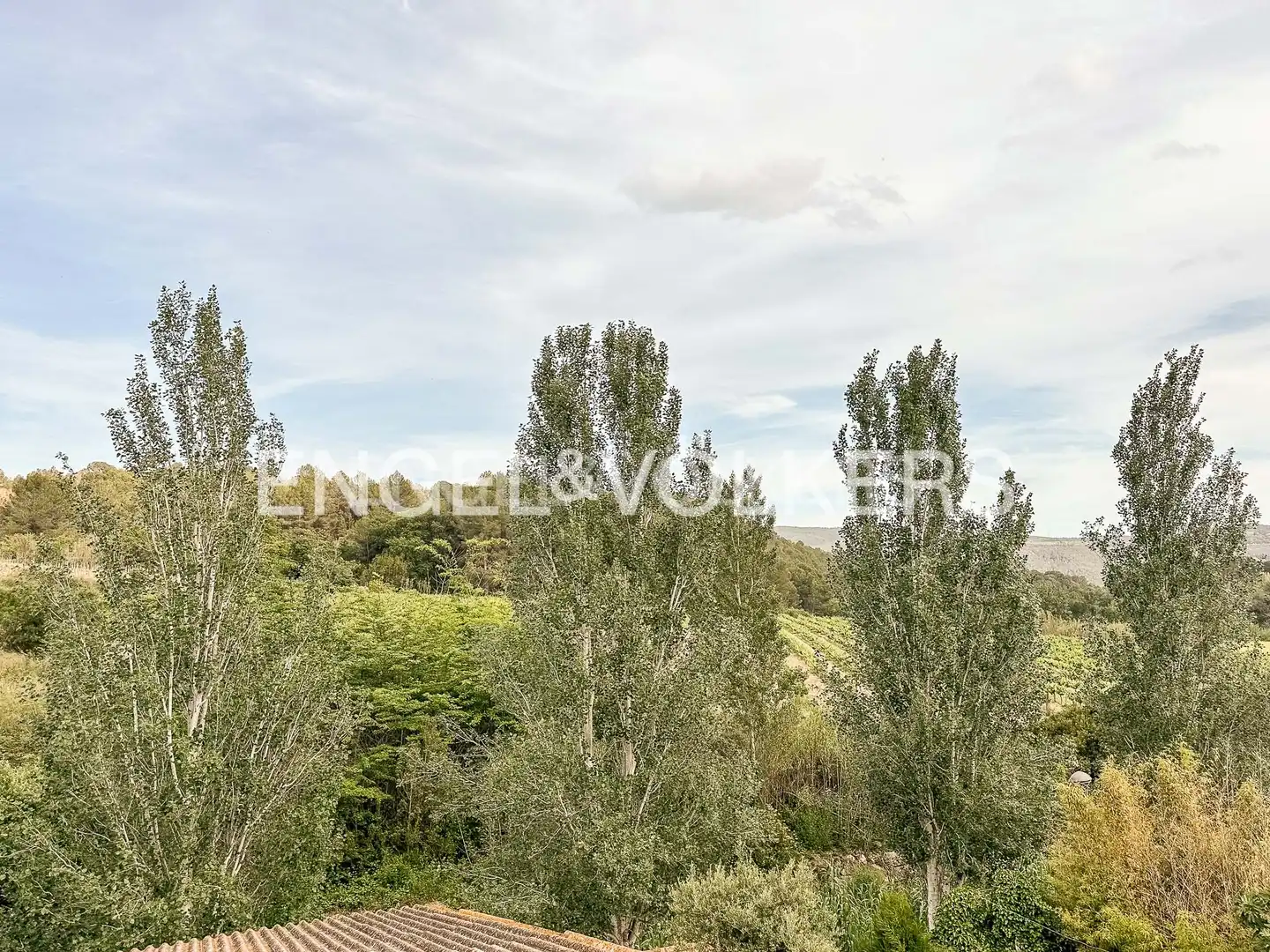 Casa con terraza en venta en Sant Sadurní d'Anoia, imagen 39
