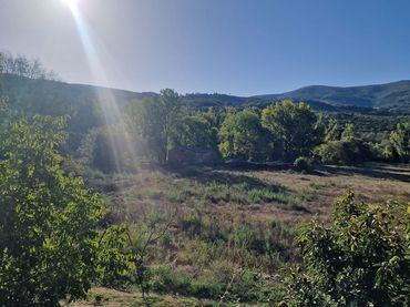 Terreno rustico in vendita a El Torno