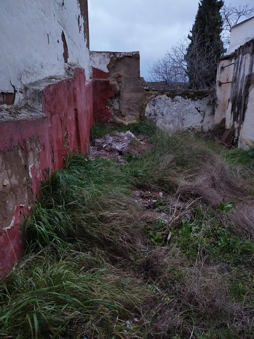 Casa o xalet en venda en Ronda amb Jardí privat